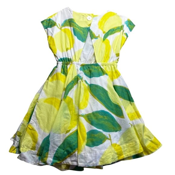 Tea Collection Guava-Go-Go Skirted Collared Dress Size 6 Years - Picture 5 of 6